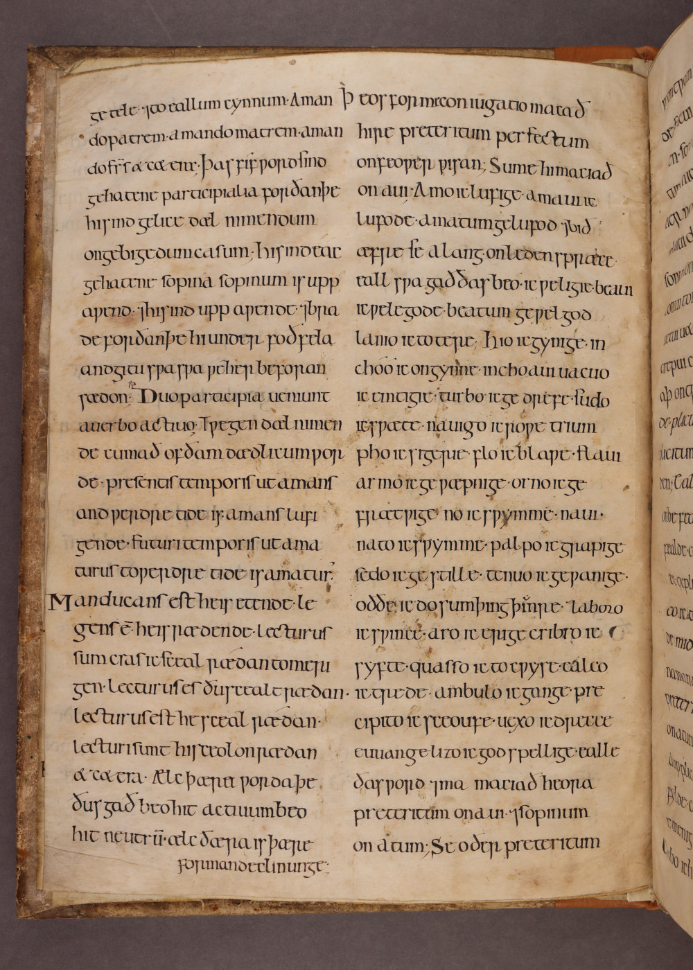 MS 38 Folio iii  verso